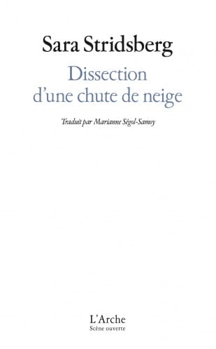Dissection d'une chute de neige